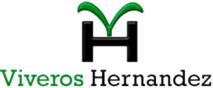 Viveros Hernandez